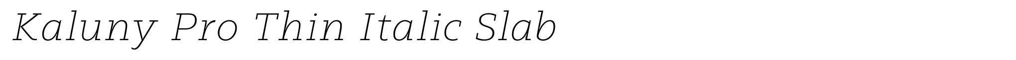 Kaluny Pro Thin Italic Slab image